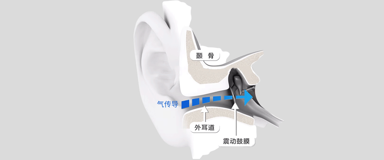 人體工程學(xué)非入耳式無線講解器